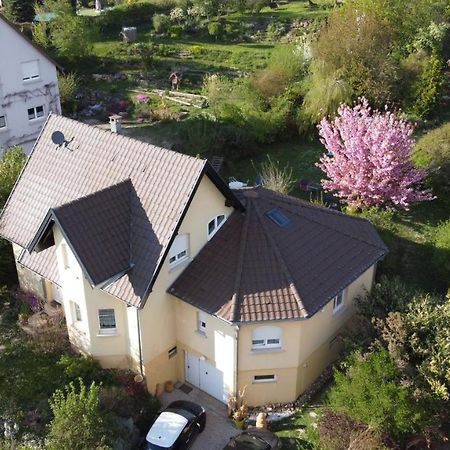 Apartament Chez Olivier Et Josette Sur Mulhouse Sud Illfurth Zewnętrze zdjęcie
