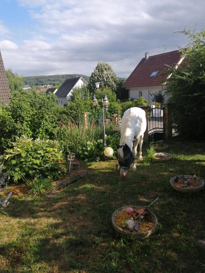 Apartament Chez Olivier Et Josette Sur Mulhouse Sud Illfurth Zewnętrze zdjęcie