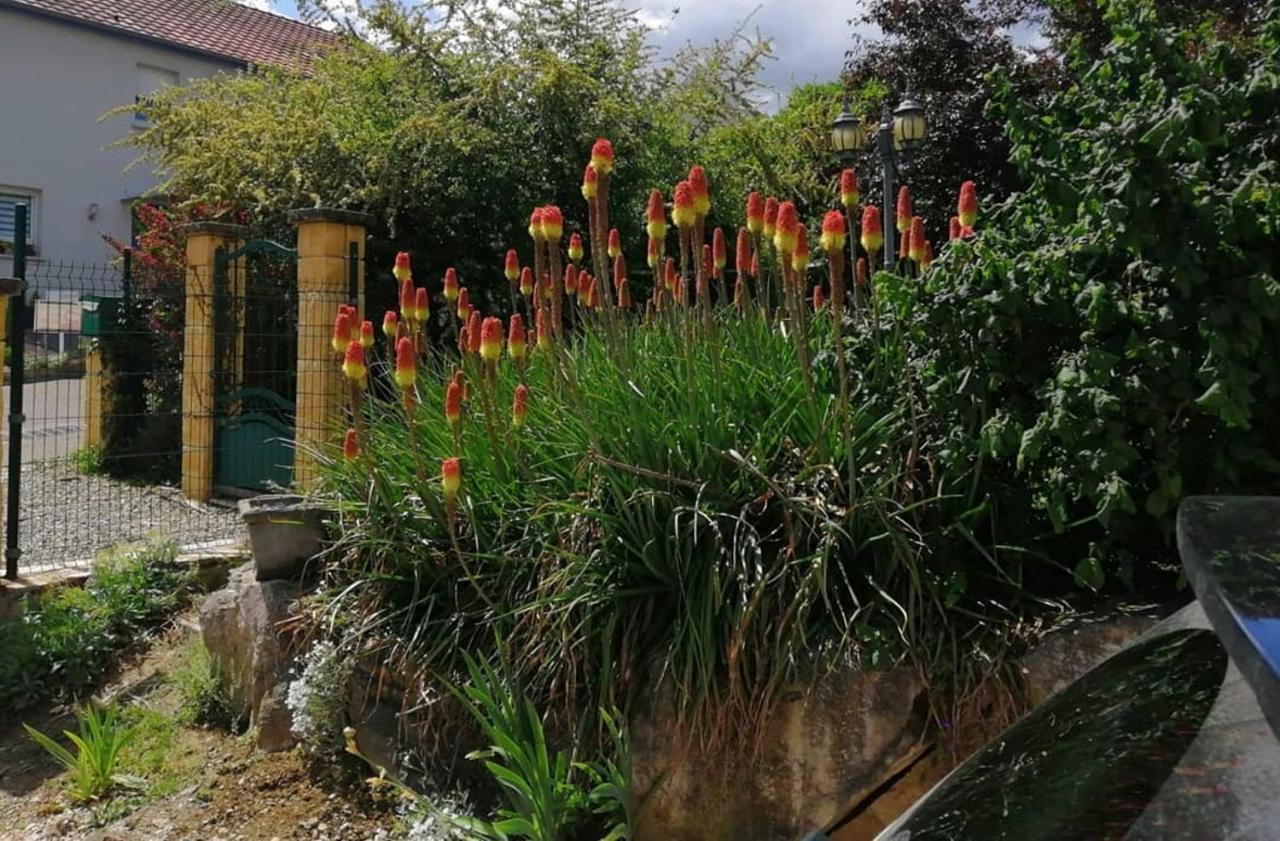 Apartament Chez Olivier Et Josette Sur Mulhouse Sud Illfurth Zewnętrze zdjęcie