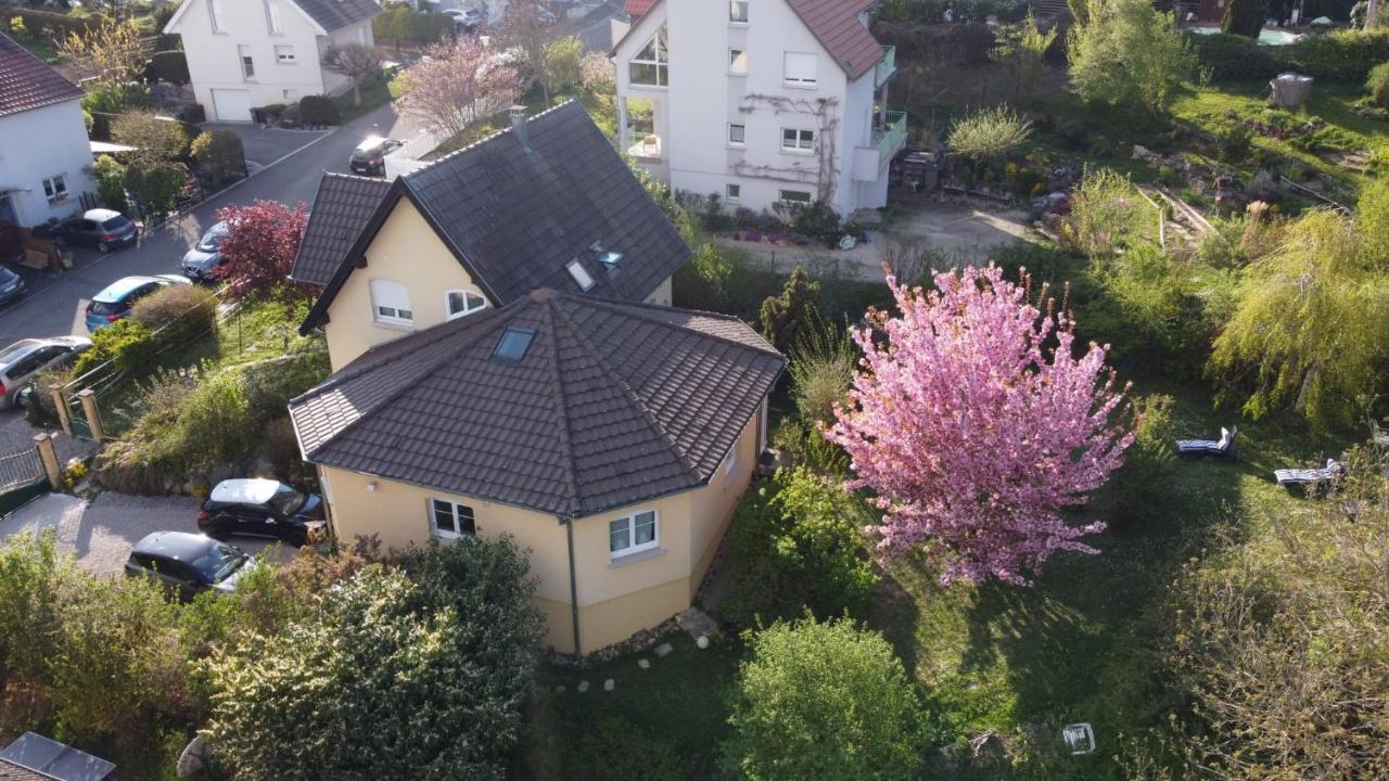 Apartament Chez Olivier Et Josette Sur Mulhouse Sud Illfurth Zewnętrze zdjęcie