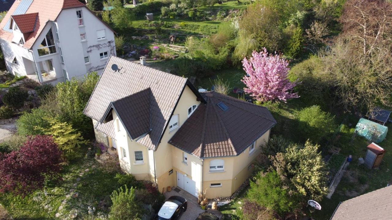 Apartament Chez Olivier Et Josette Sur Mulhouse Sud Illfurth Zewnętrze zdjęcie