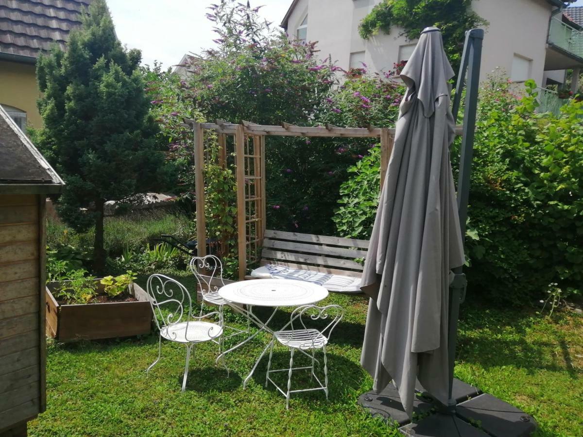 Apartament Chez Olivier Et Josette Sur Mulhouse Sud Illfurth Zewnętrze zdjęcie
