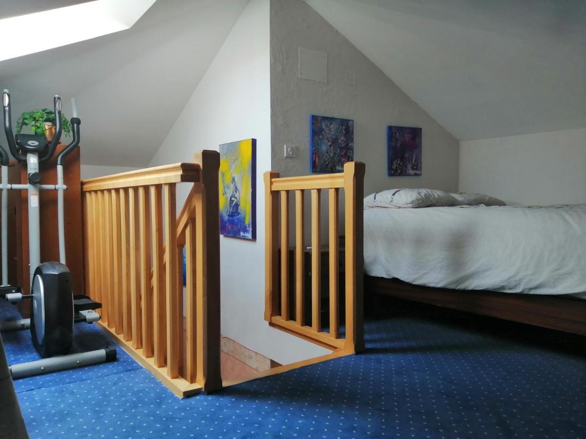 Apartament Chez Olivier Et Josette Sur Mulhouse Sud Illfurth Zewnętrze zdjęcie