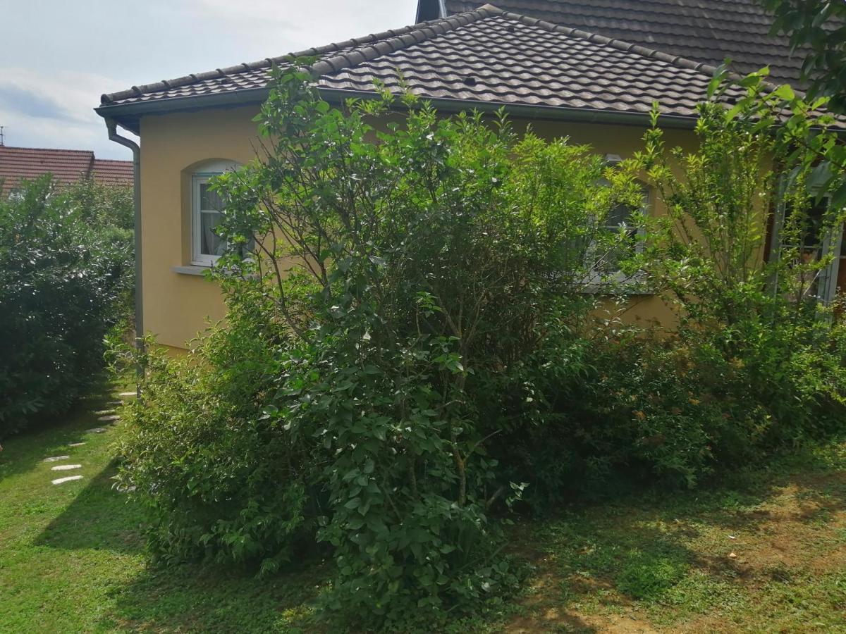Apartament Chez Olivier Et Josette Sur Mulhouse Sud Illfurth Zewnętrze zdjęcie